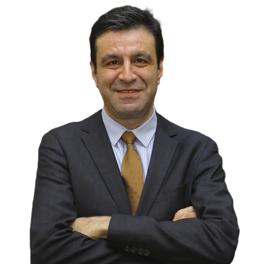 Prof. Dr. Ege Yazgan